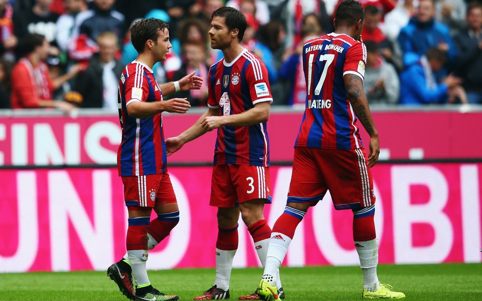 国际体能训练导师证书复审与继续教育细则发布，国际体能训练师怎么考